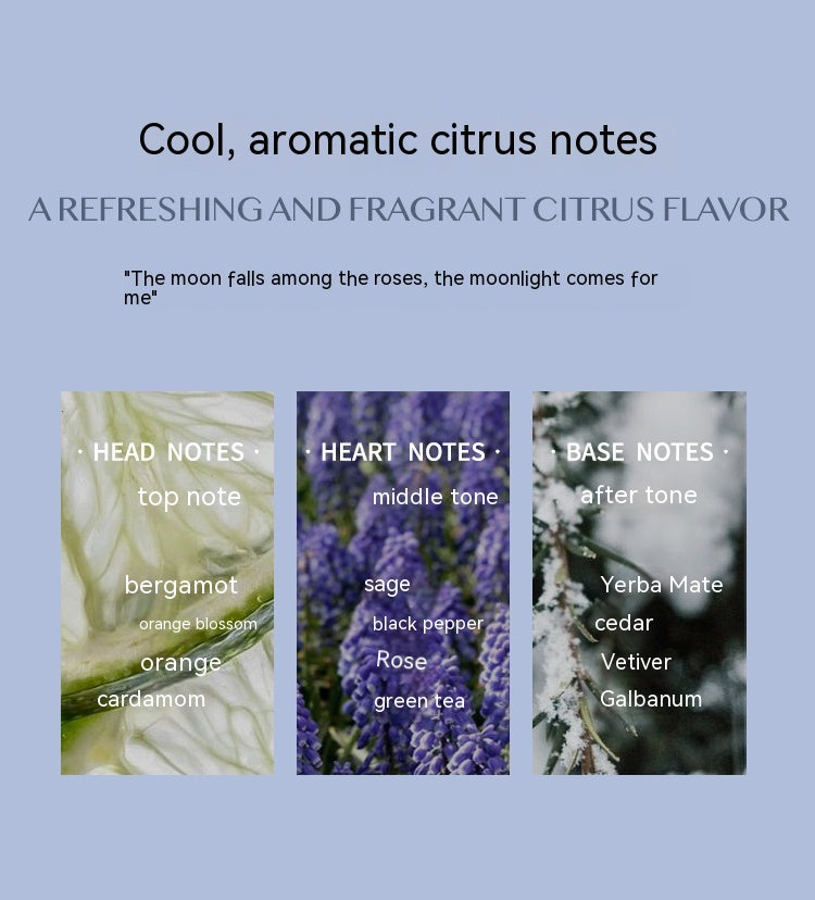 Aromatic Citrus Aromatic Perfume Long-lasting Perfume